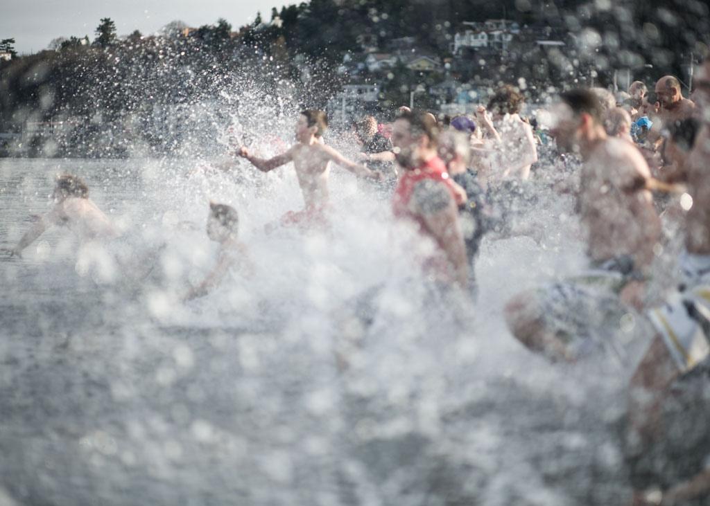 Seattle Polar Plunge Seattle Area Family Fun Calendar ParentMap